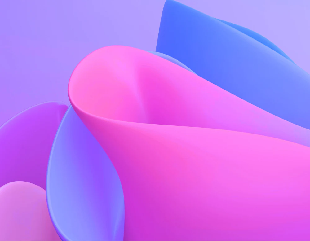架け橋